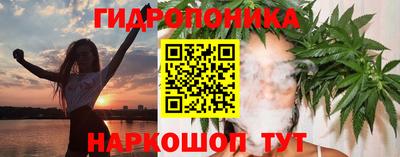 МДПВ Лесосибирск