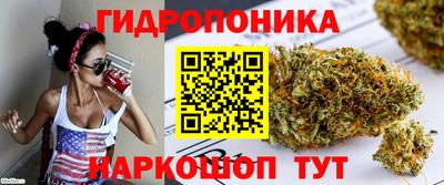 apvp Ливны