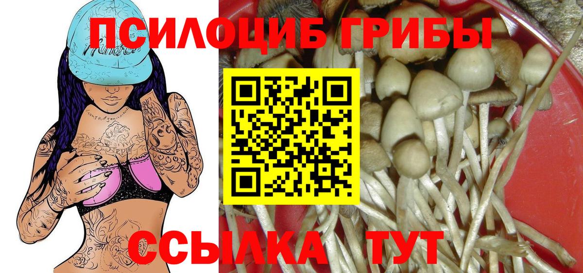 Фролово  Псилоцибиновые грибы мухоморы  Галлюциногенные грибы ЛСД  Вход с VPN 