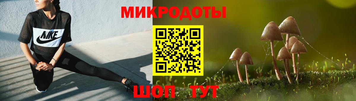 Псилоцибиновые грибы Psilocybe Фролово